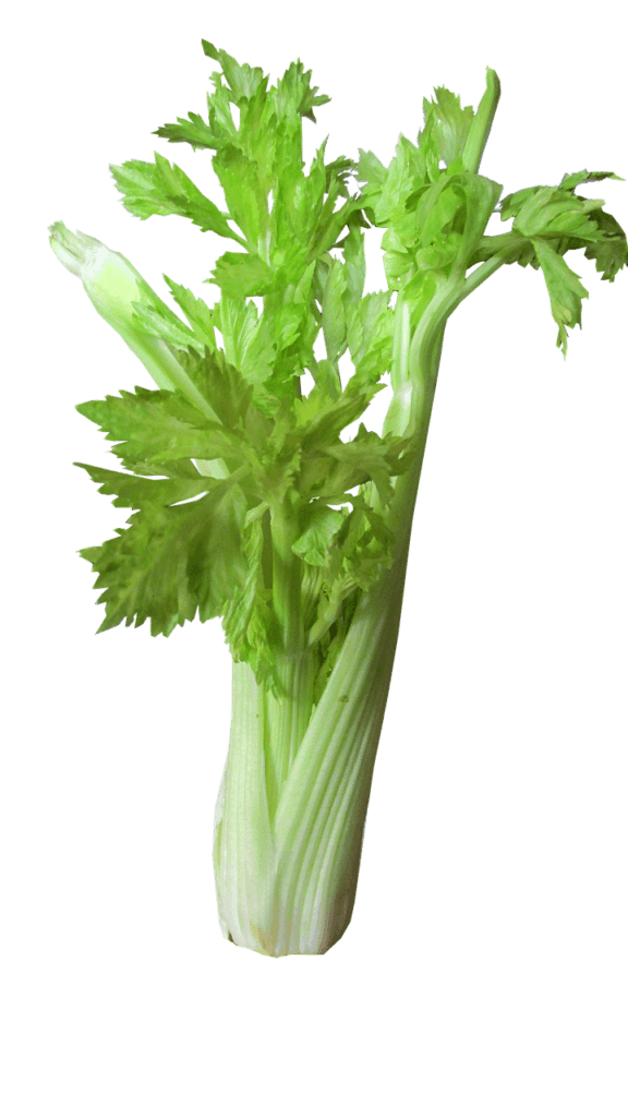 celery-nitric-oxide