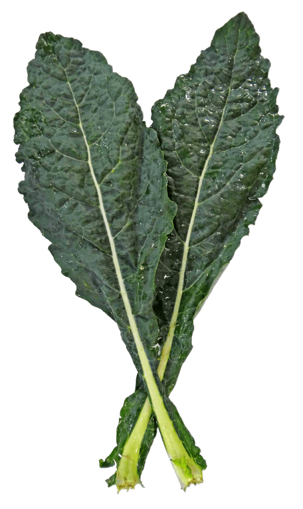 kale-nitric-oxice