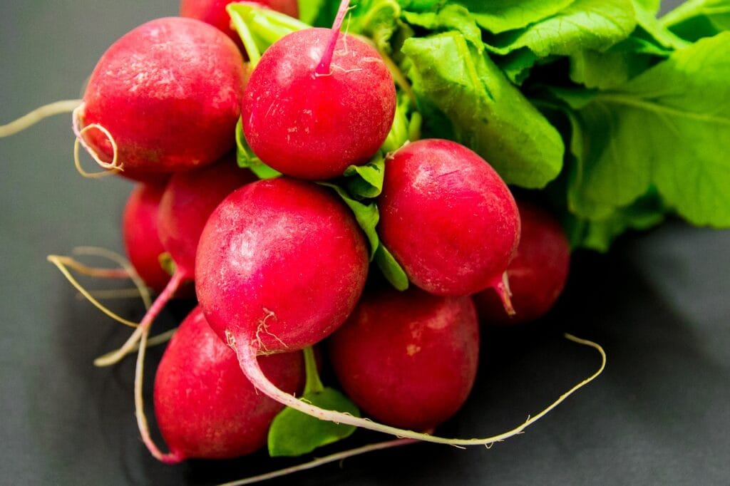 radishes-nitric-oxide