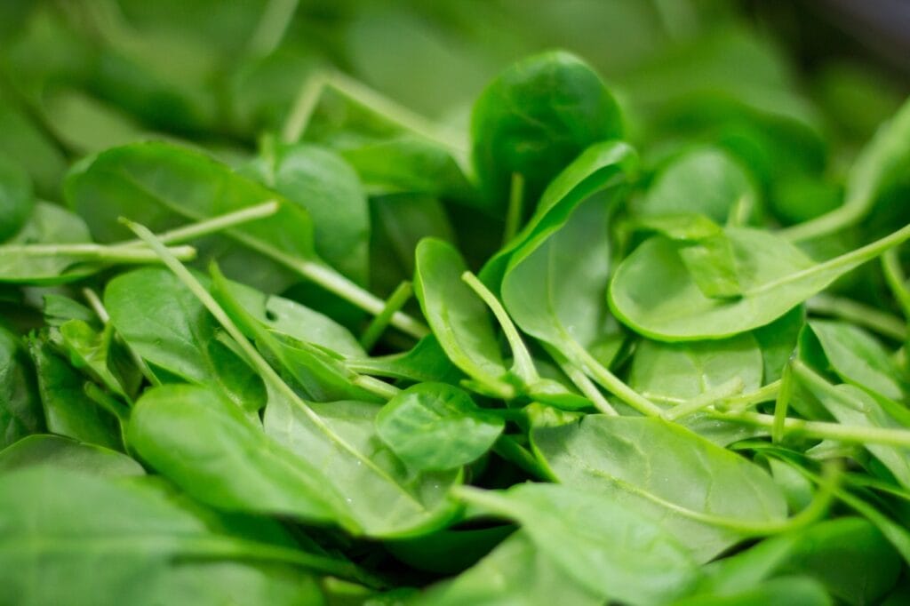 spinach-nitric-oxide