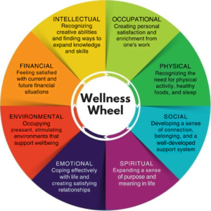 How to Balance Your Health Holistically with The Wellness Wheel